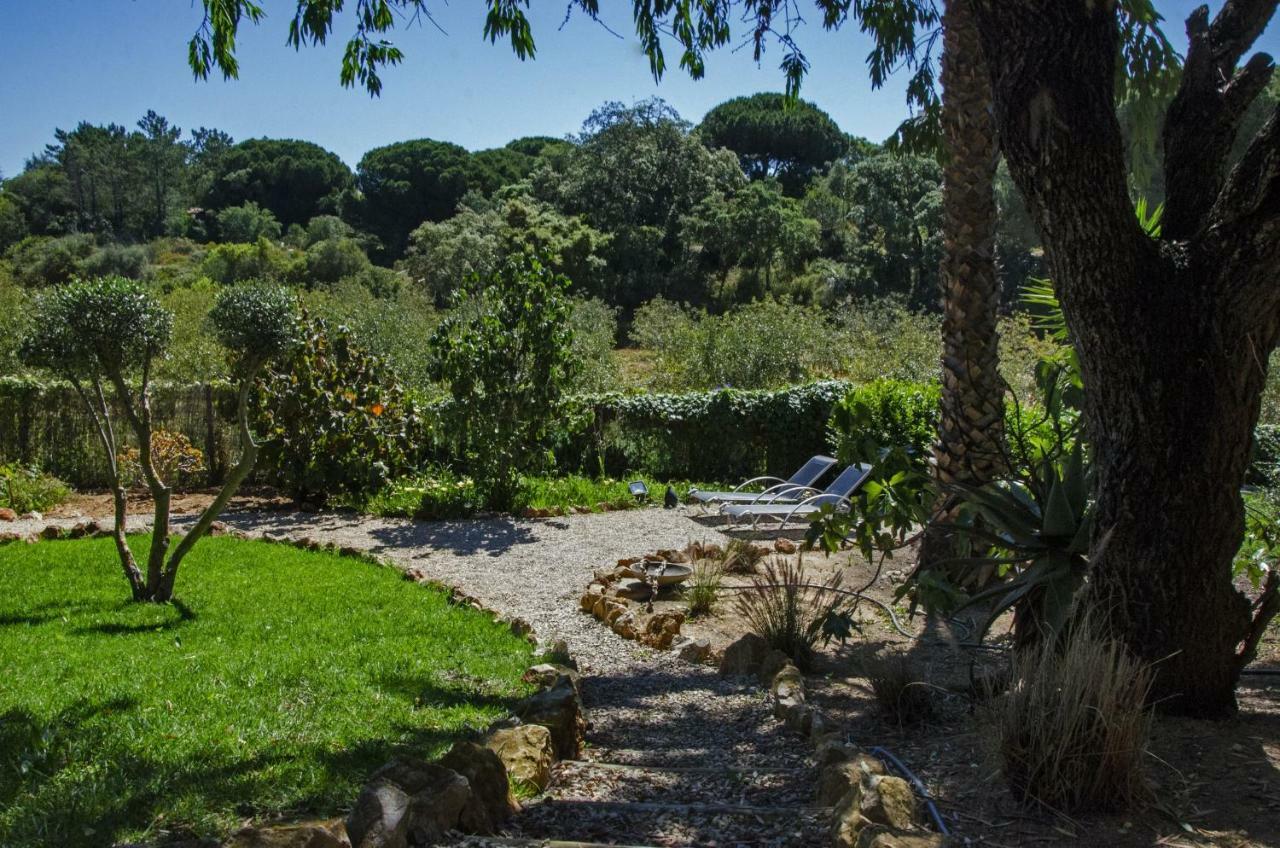 Casa Sereno Benagil Exteriér fotografie